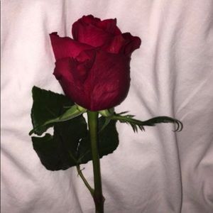 Meet your Posher, Ana